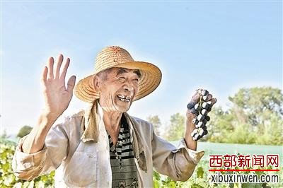 榆林这个长寿村80岁以上老人有40多人